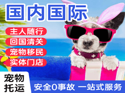 三源浦机场邮寄国际宠物托运 【国